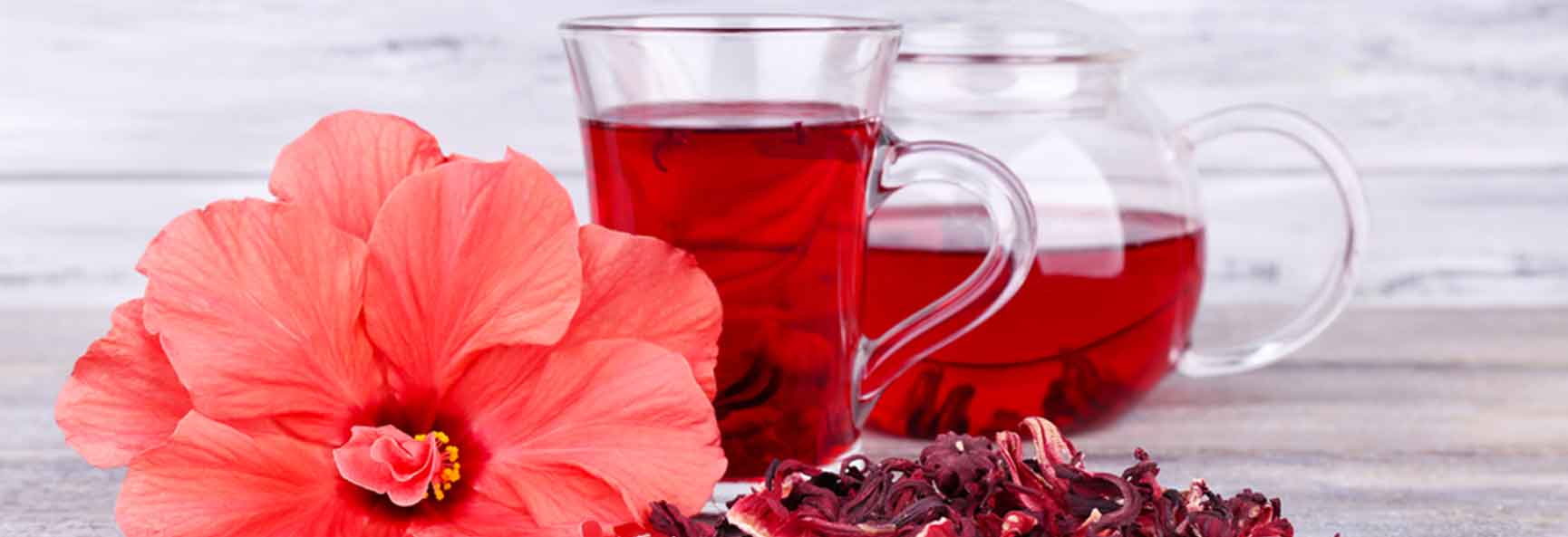 Infusion de hibisco