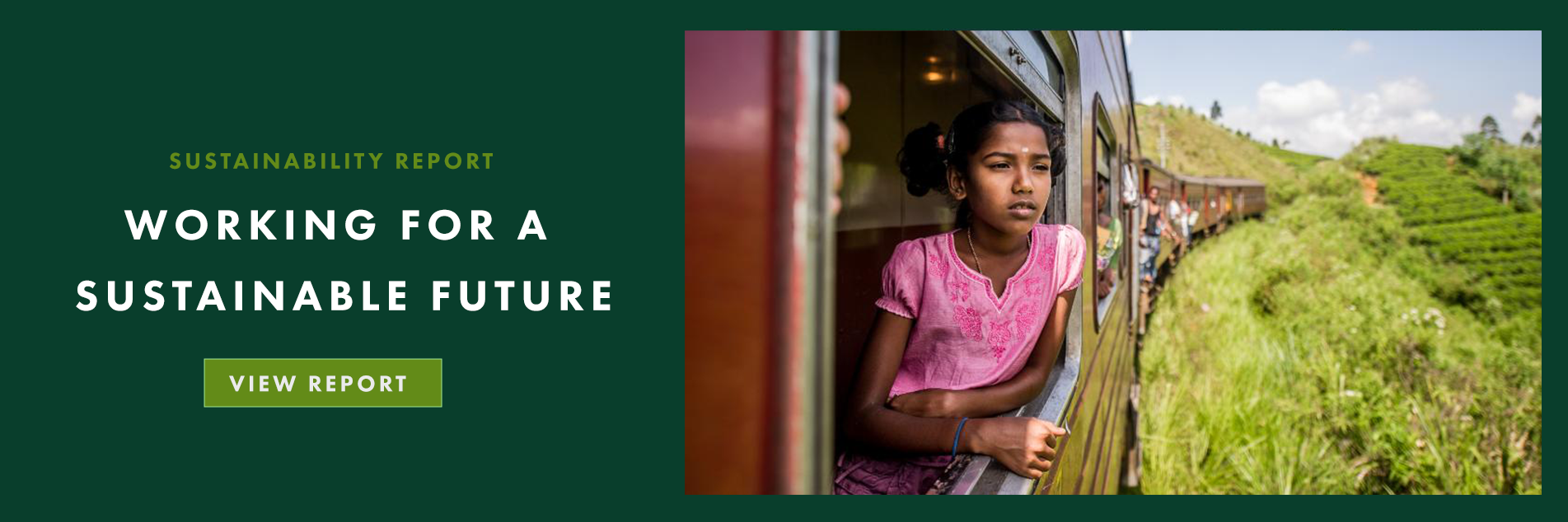Developing a sustainable business with a strong ethical conscience is the driving force behind Ahmad Tea.