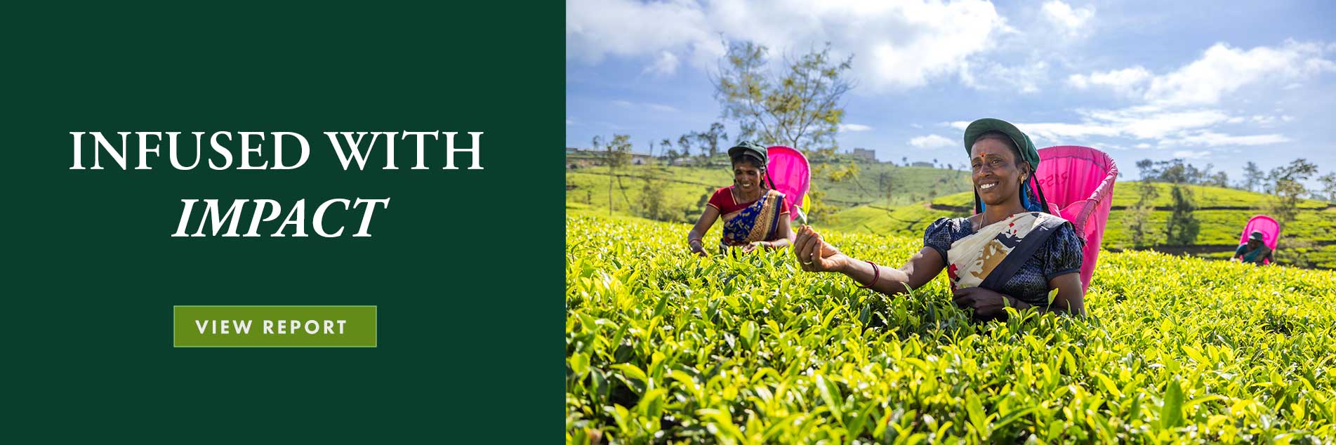 Developing a sustainable business with a strong ethical conscience is the driving force behind Ahmad Tea.