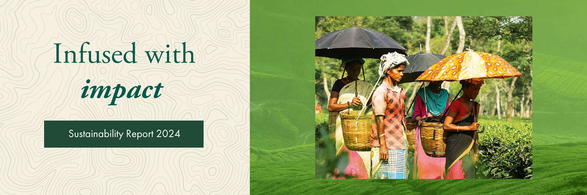 Ahmad Tea Emirates Factory Sustainability Report 2024